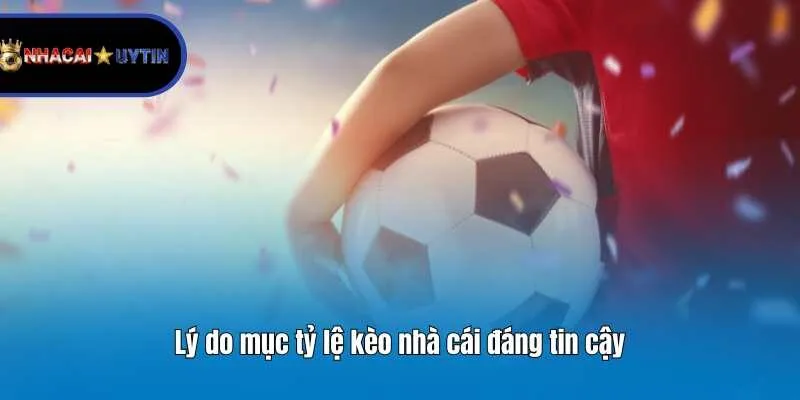 Lý do mục tỷ lệ kèo nhà cái đáng tin cậy