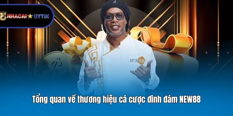 Tổng quan về thương hiệu cá cược đình đám NEW88