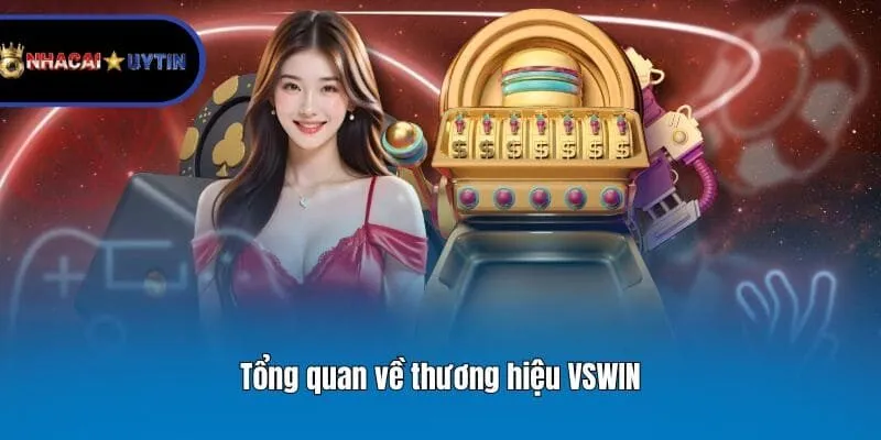 Tổng quan về thương hiệu VSWIN