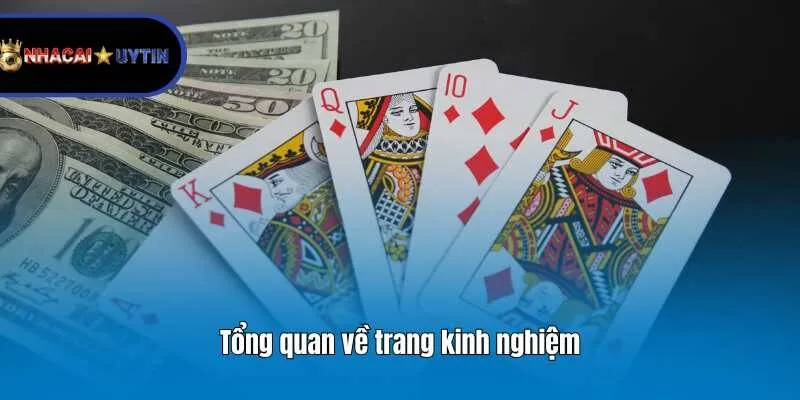 Tổng quan về trang kinh nghiệm